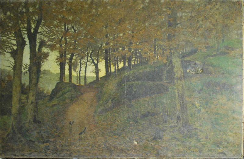 Sous-bois
