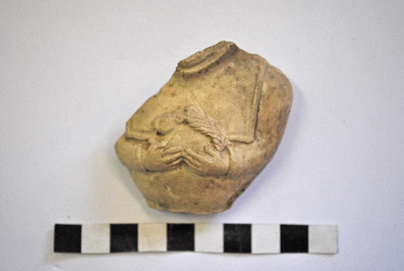 Cucullatus tenant un écureuil