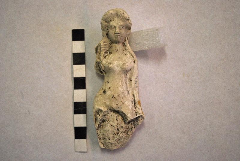 Vénus