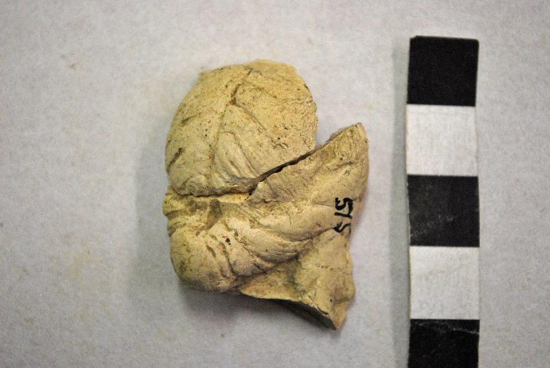 Tête de femme coiffée d'un chignon