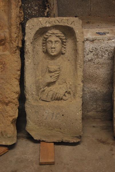 Stèle féminine et AMVLA