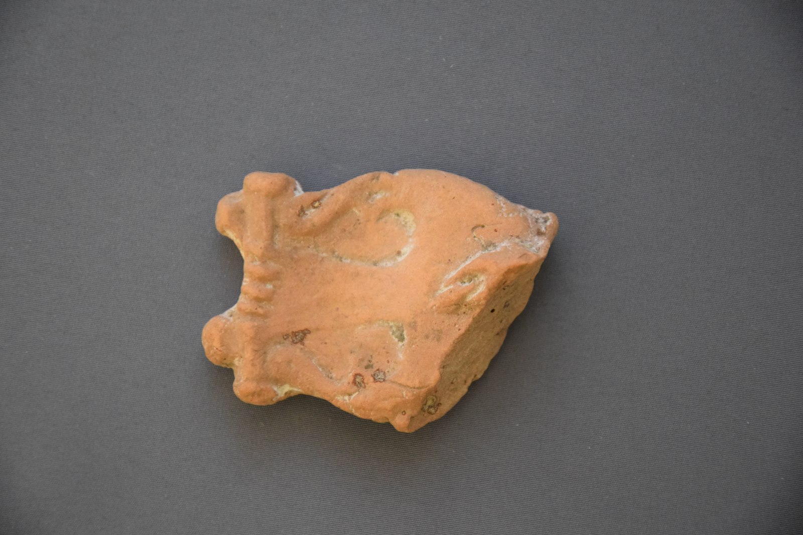 Fragment d'une cithare