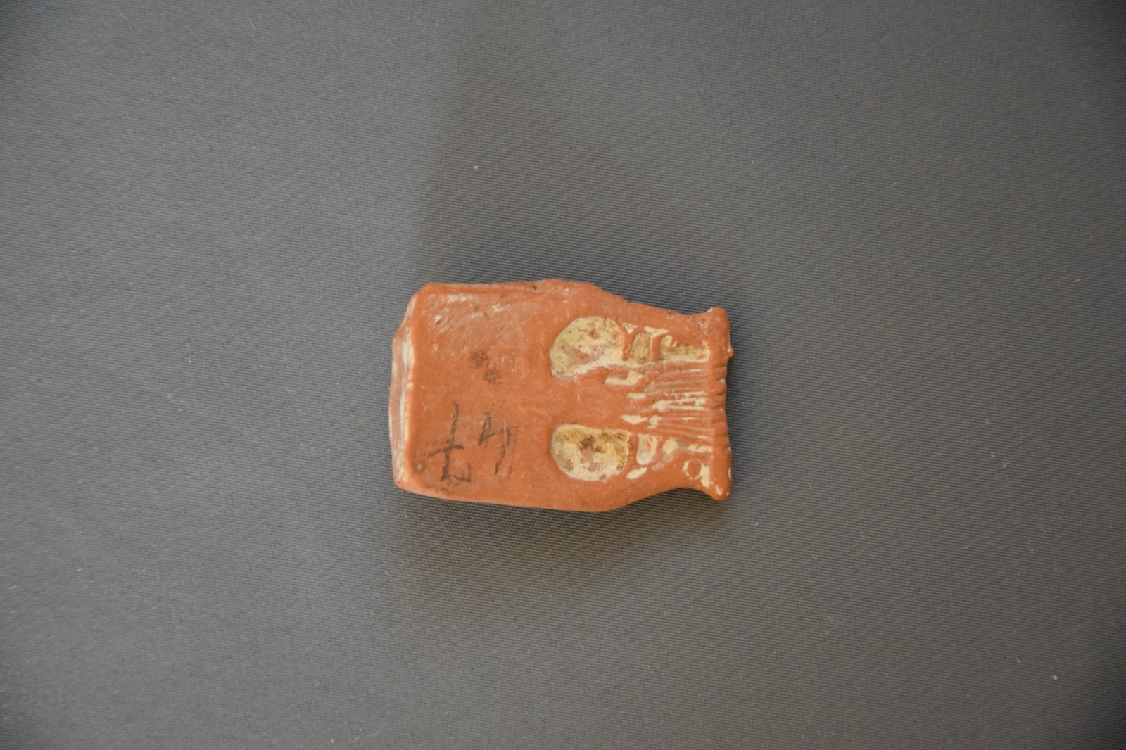 Fragment d'une cithare