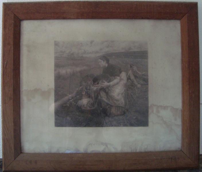 Le ramassage des pommes de terre