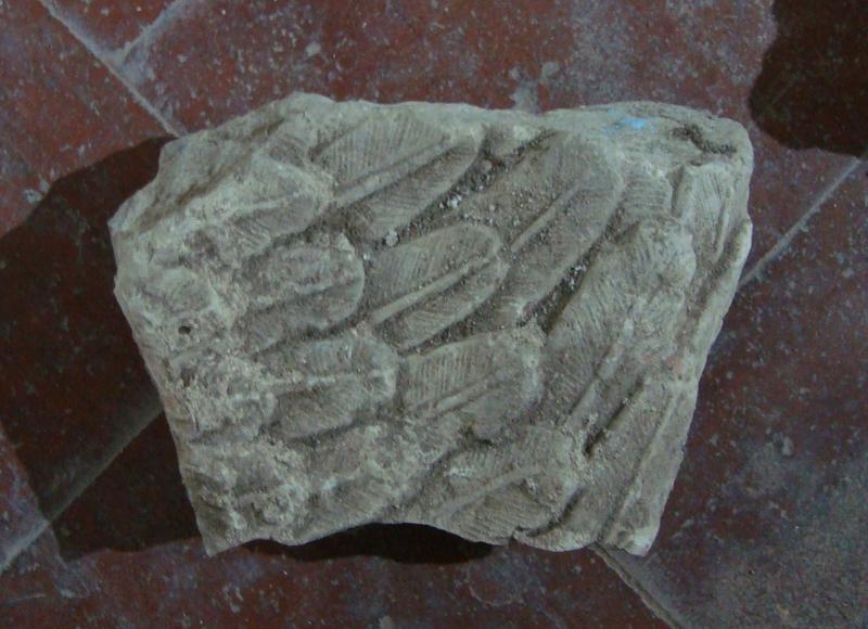 Fragment d'aile d'ange