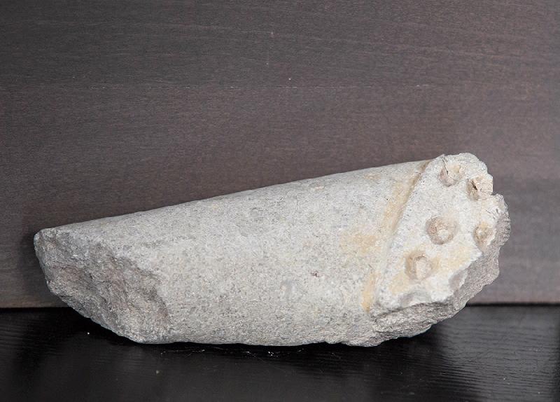 Fragment d'un bras d'un soldat endormi