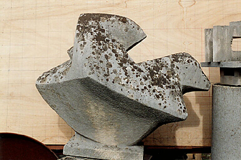 Oiseau (qui se pose)