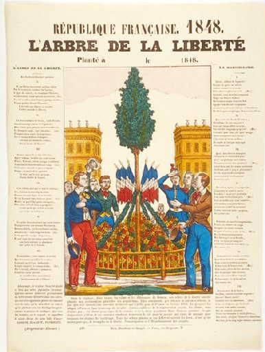 L'arbre de la liberté