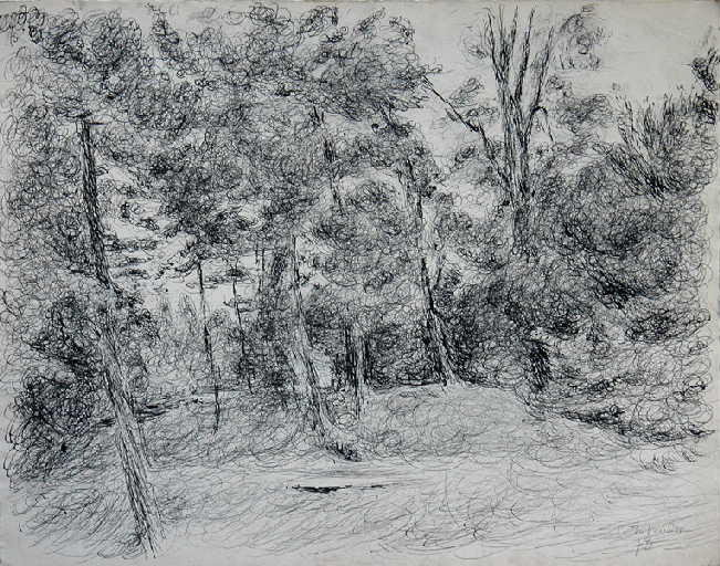 Automne ensoleillé