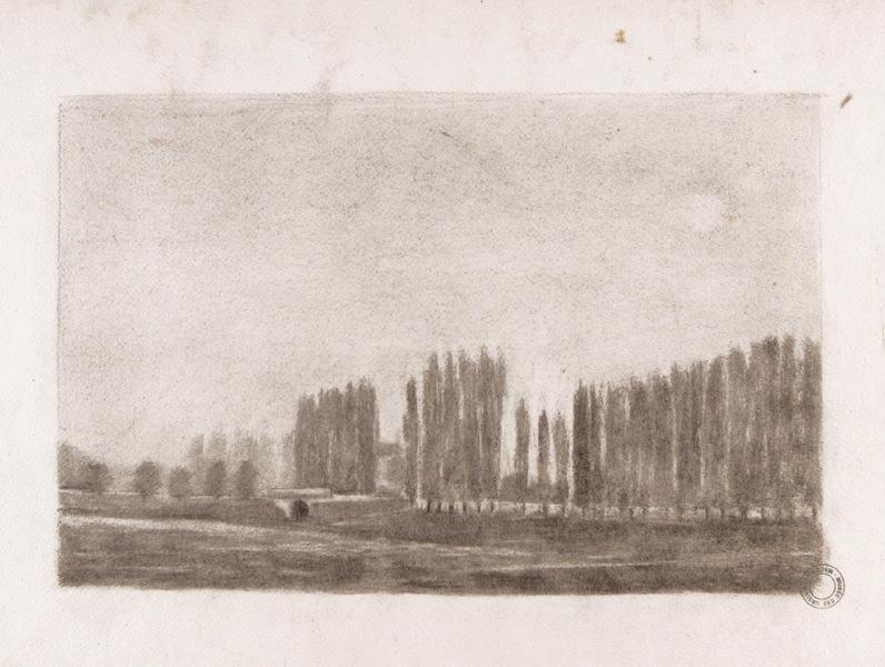 Bords de Saône aux peupliers