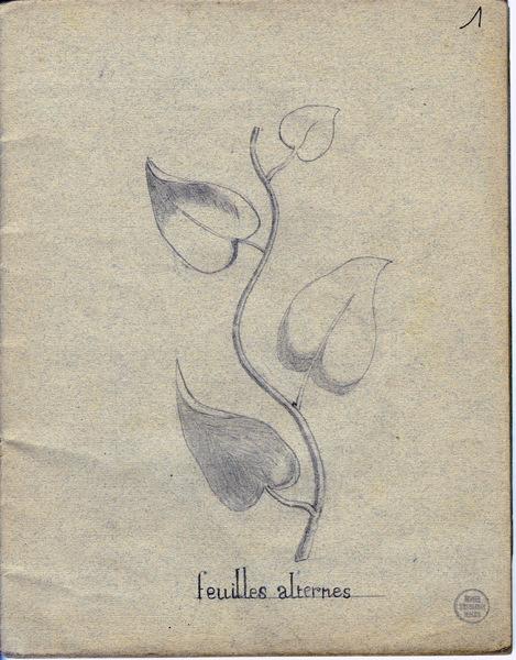 Cahier de dessin de Georges Mathey