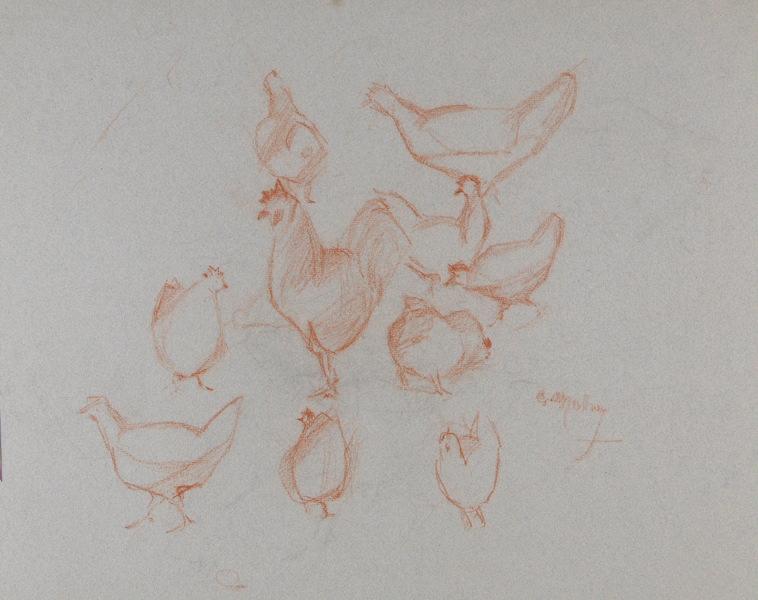 Dix études de basse-cour (coq et poules)