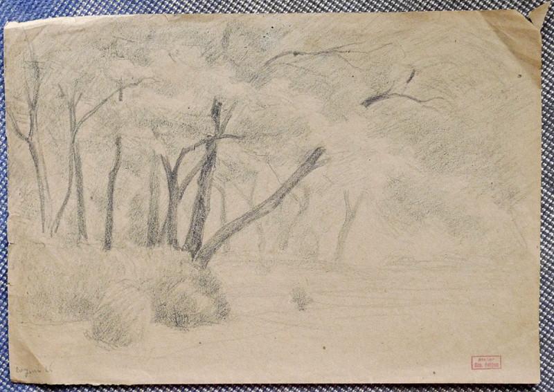 20 juin 25 - paysage