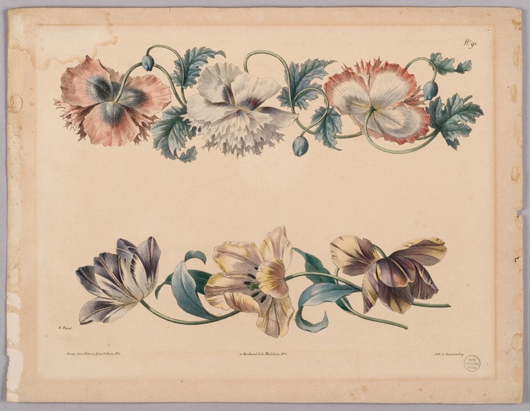 Etude de fleurs