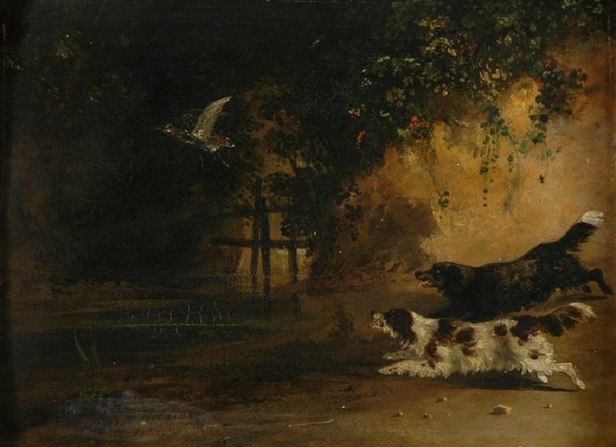 Bécasse et chiens