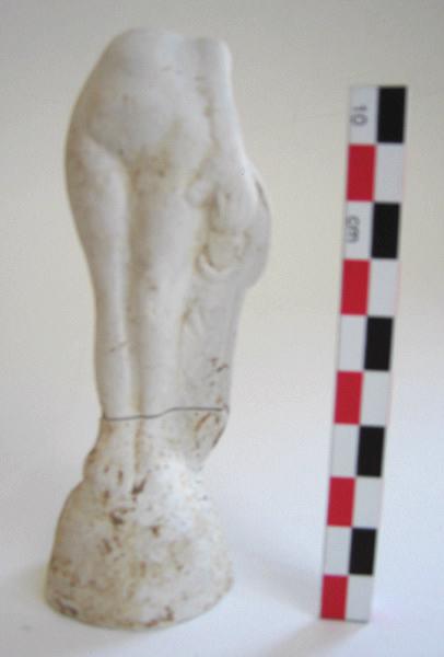 Vénus