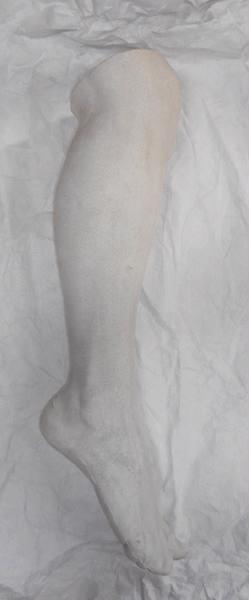 Jambe et pied humain