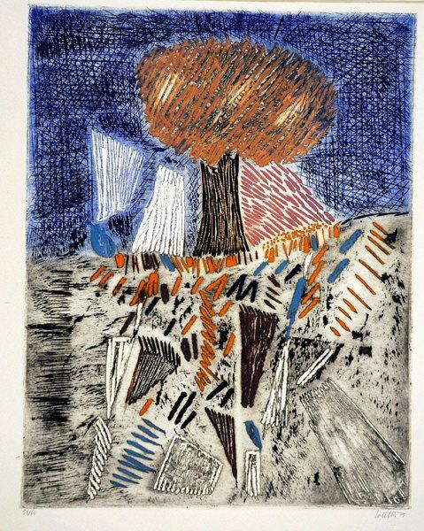 L'hêtre d'Amérique