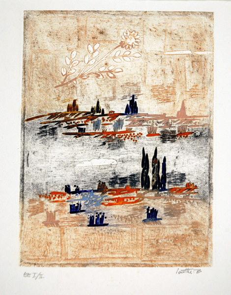 Sur le passage des salmonidés