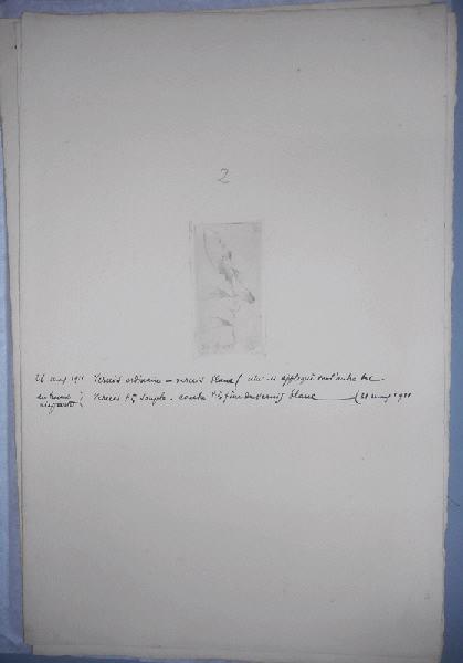 Branche avec 4 feuilles