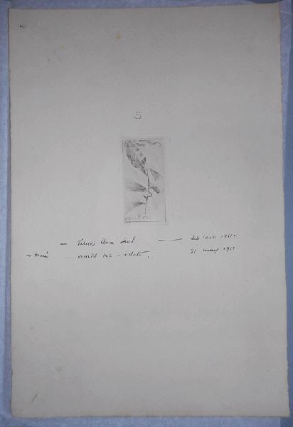 Branche avec 4 feuilles