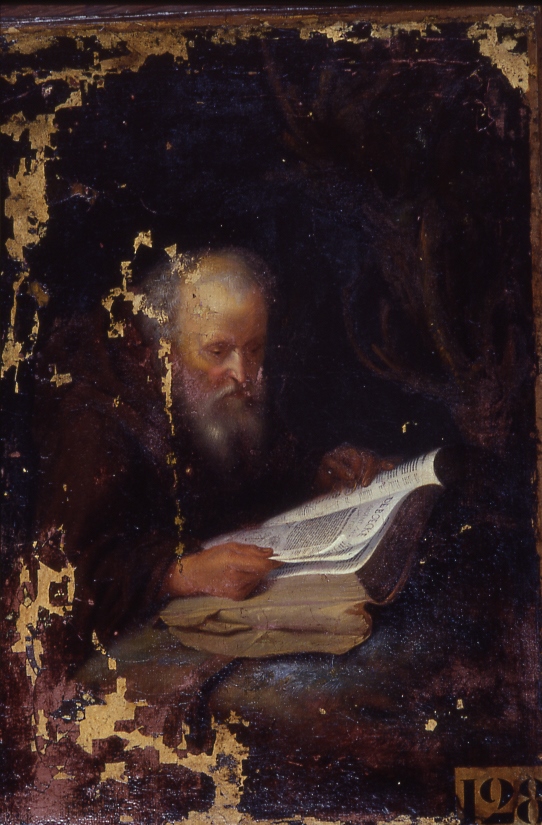 Capucin lisant