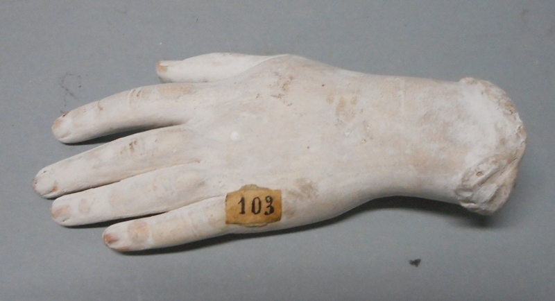 Etude de main d'enfant