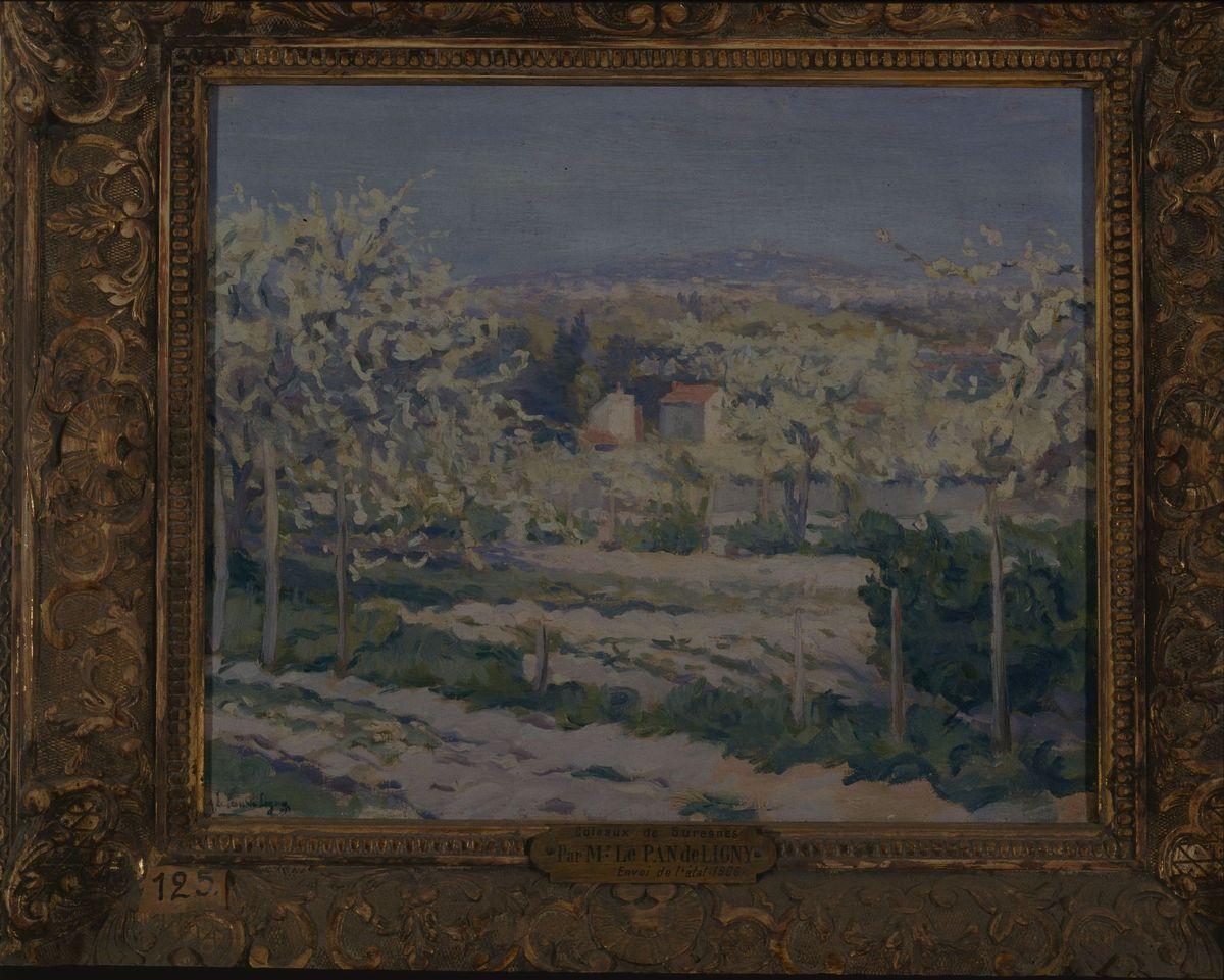 Coteaux de Suresnes, arbres en fleur