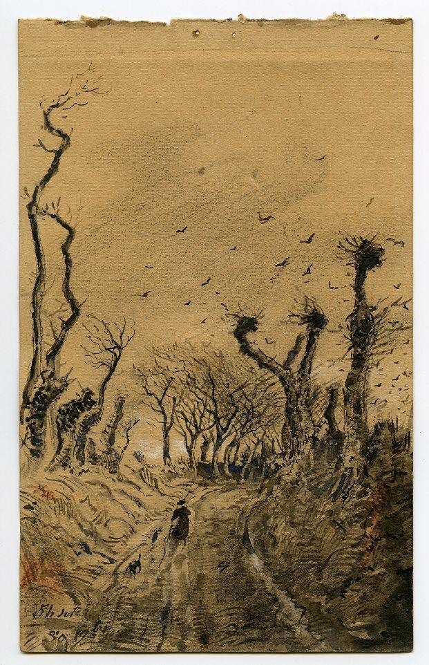 Chemin bordé d'arbres en hiver