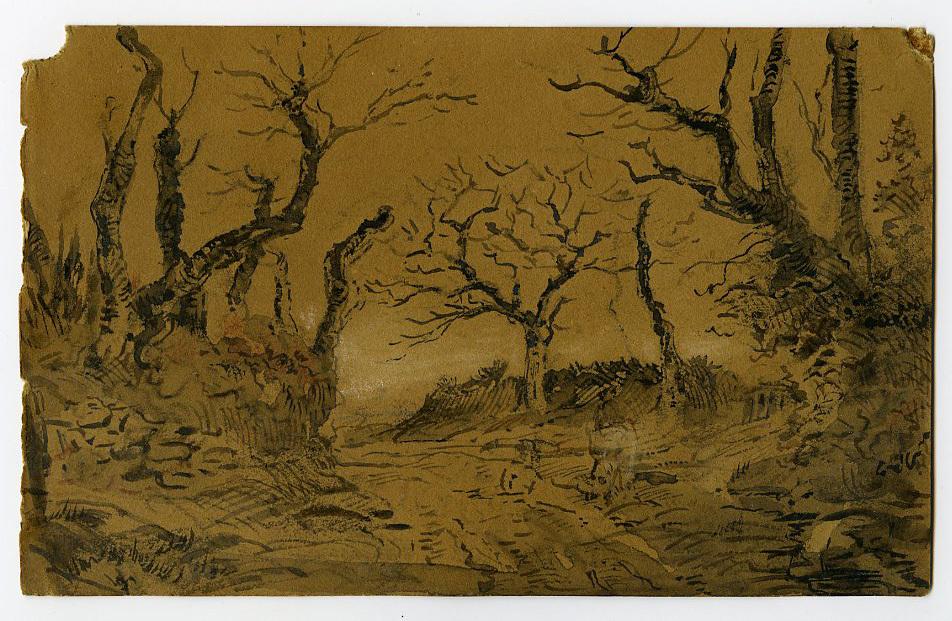 Chemin bordé de talus en hiver