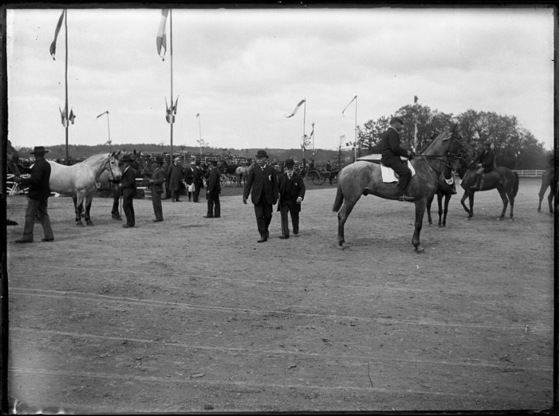 Aux courses de Morlaix