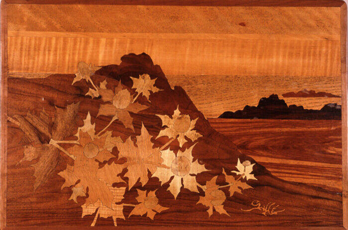 Chardons sur la côte rocheuse