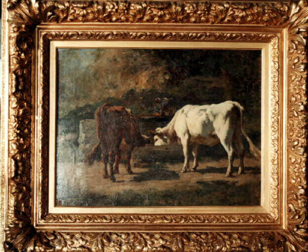 Deux vaches à l'abreuvoir