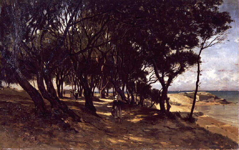 Arbres au bord de la mer à Noirmoutier