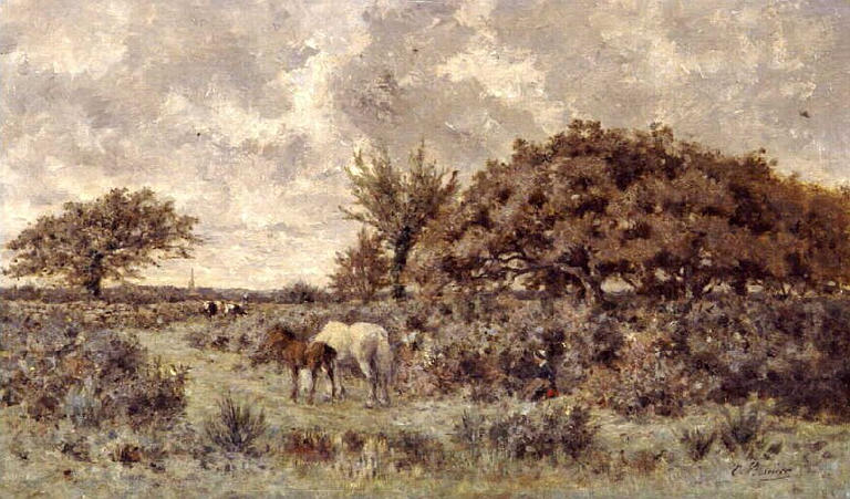 La lande près de la carrière pouliche et poulain