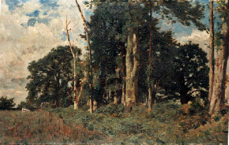 Chênes et châtaigniers