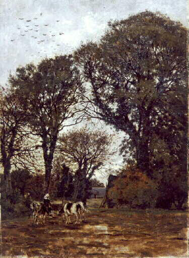 Arbres et vaches buvant
