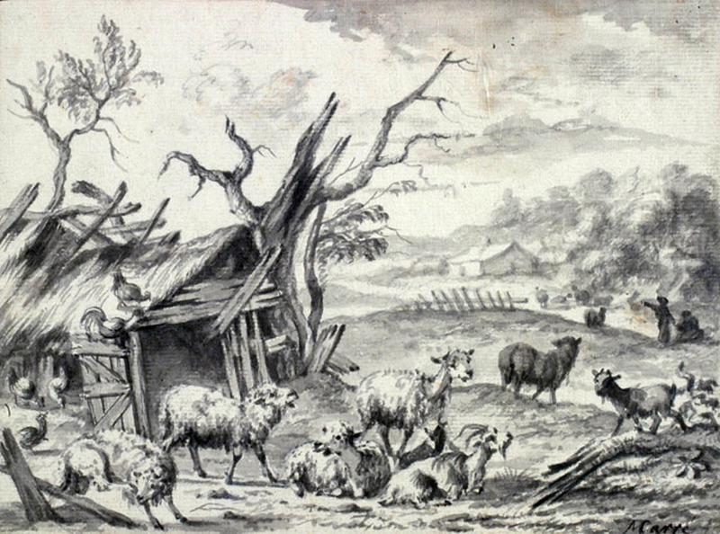 Chèvres et moutons
