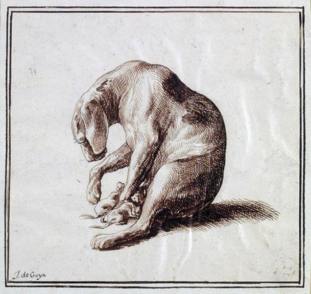 Une chienne et ses petits