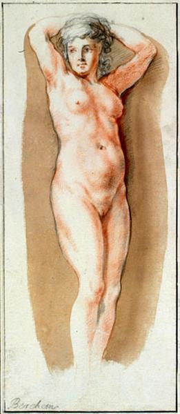 Etude de femme nue