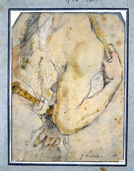 Etude d'épaule et de bras d'un homme vu de dos