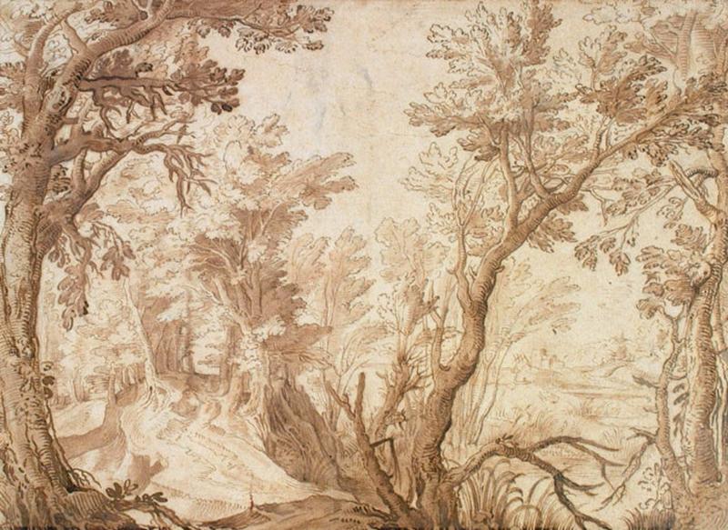 Paysage forestier ; Paysage