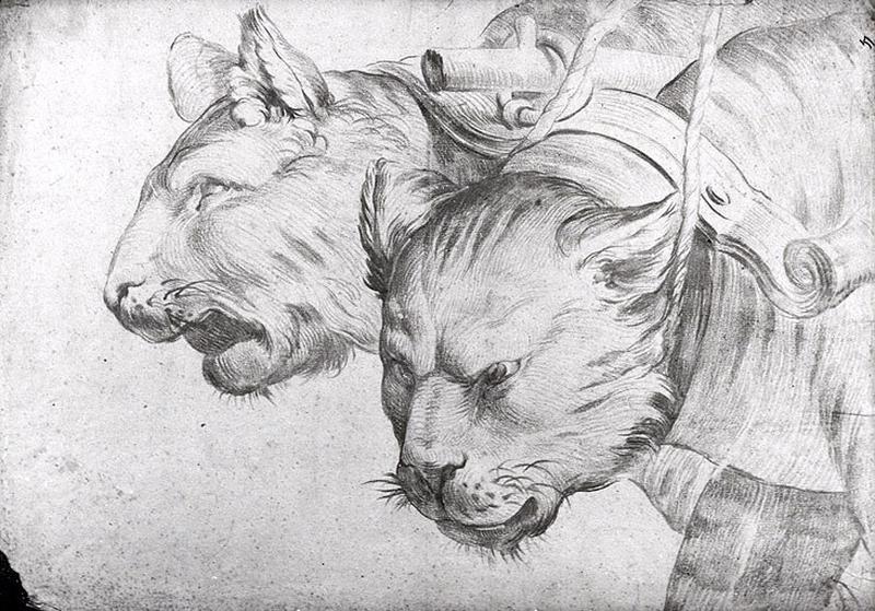 Deux têtes de félins