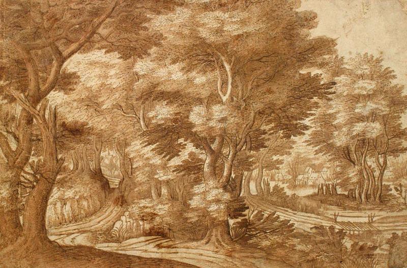 Un paysage, chemin coupant un bois