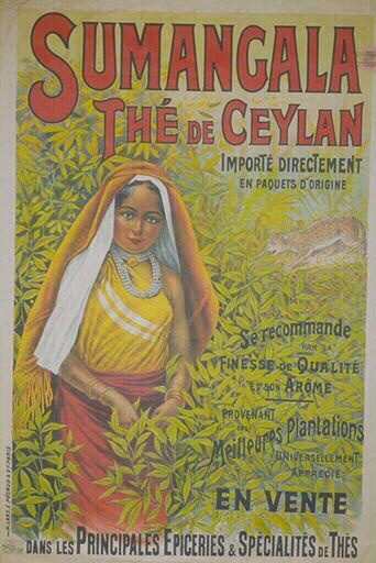 Sumangala, Thé de Ceylan / En vente dans les principales épiceries &spécialités de thés