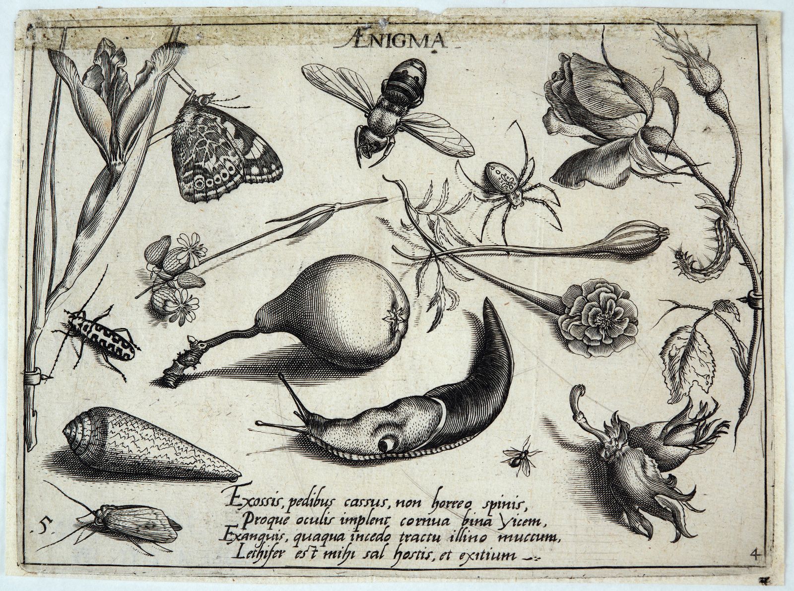 Archetypa studiaque patris (05) : Pars Quarta