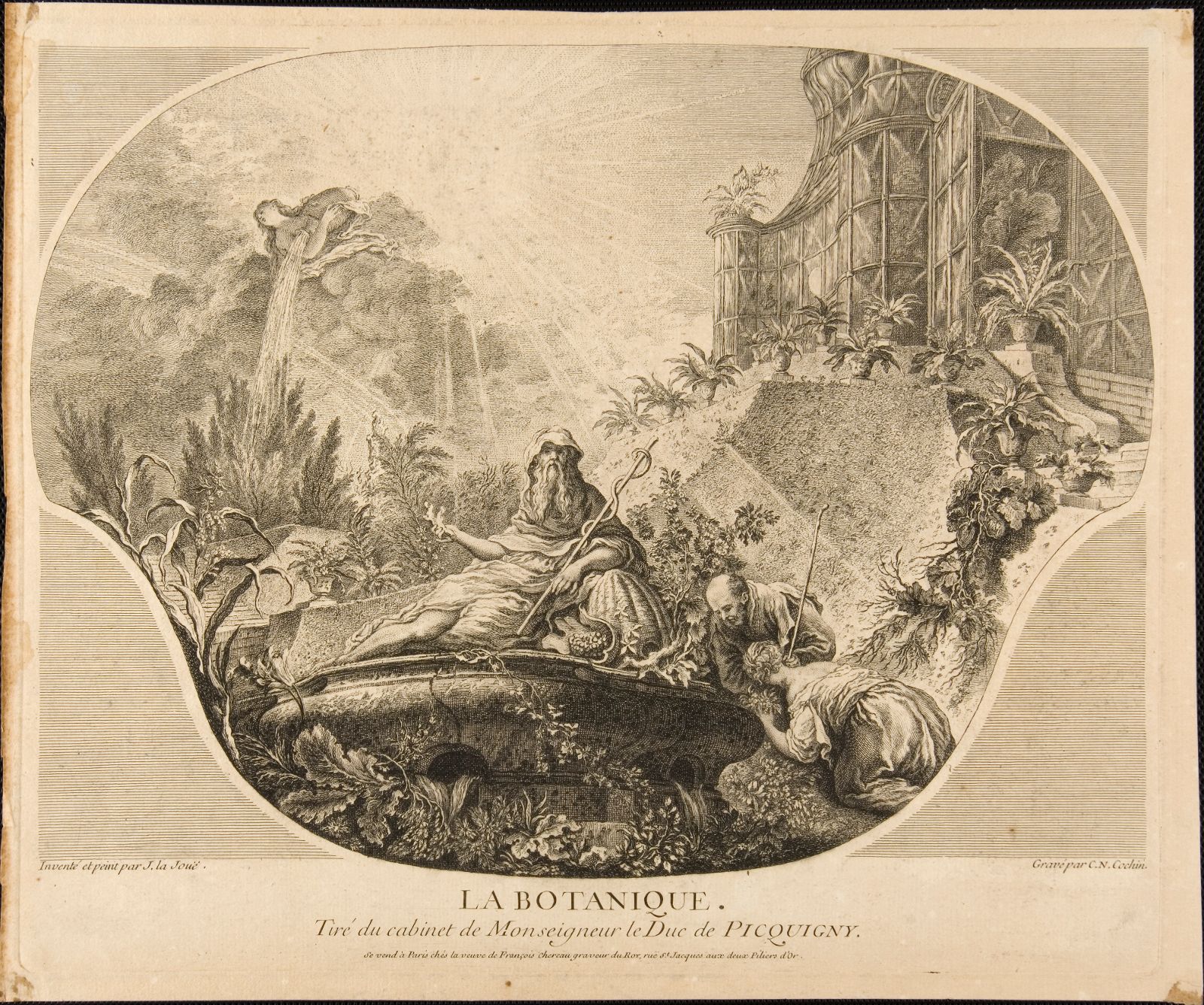 Les Arts et les Sciences : La Botanique