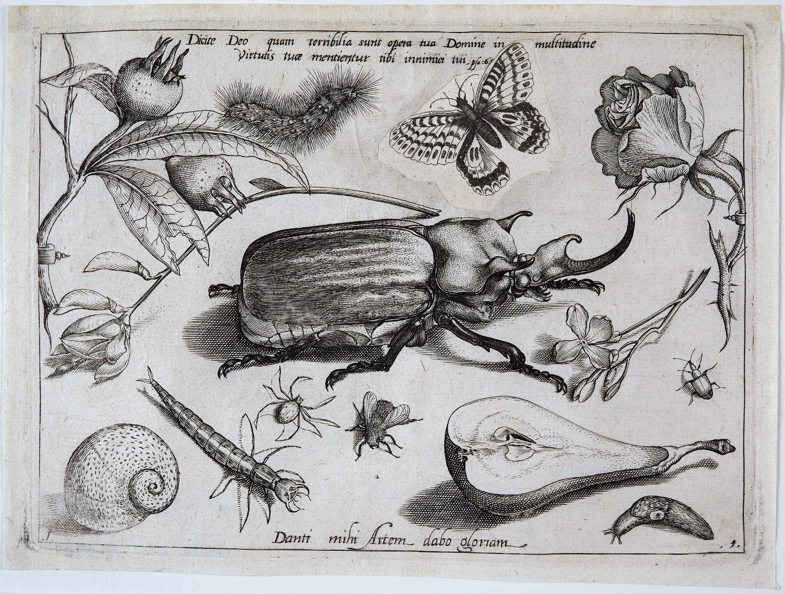 Archetypa studiaque patris (01) : Pars Prima
