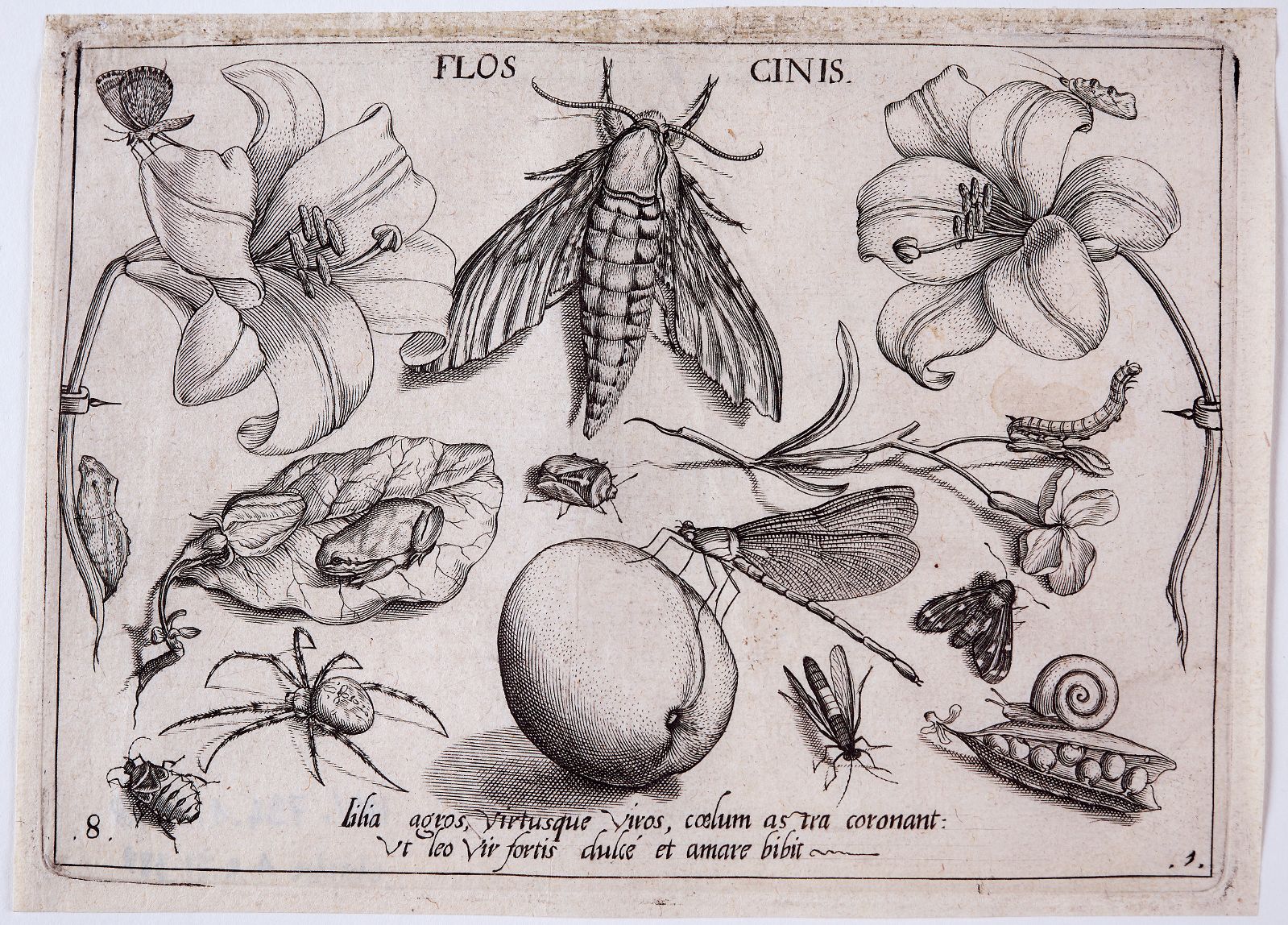 Archetypa studiaque patris (08) : Pars Prima
