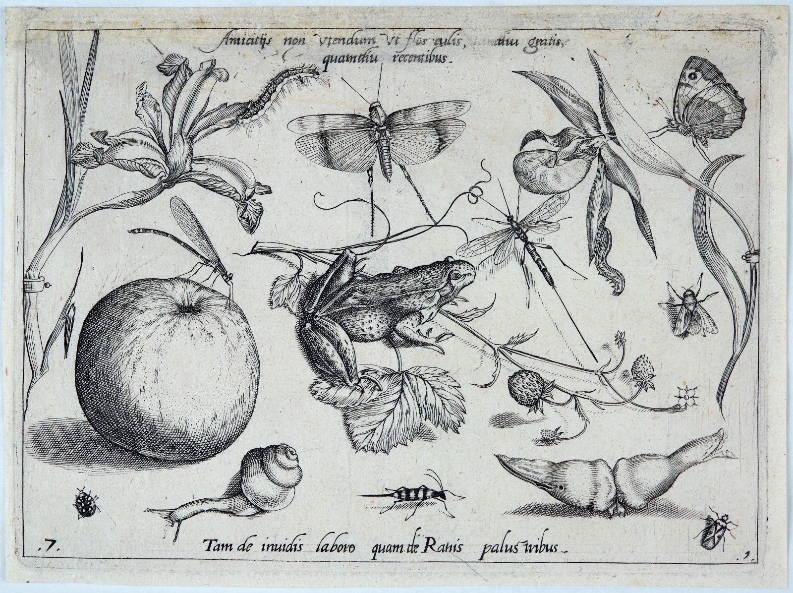 Archetypa studiaque patris (07) : Pars Prima